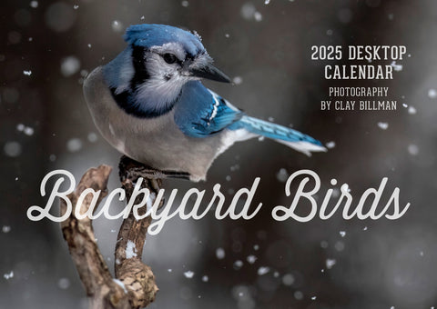 2025 Backyard Birds calendar